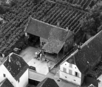 Maszyny do winnic i sadów | Innowacje w winnicach – jak technologia zmienia ekologiczny uprawy winorośl